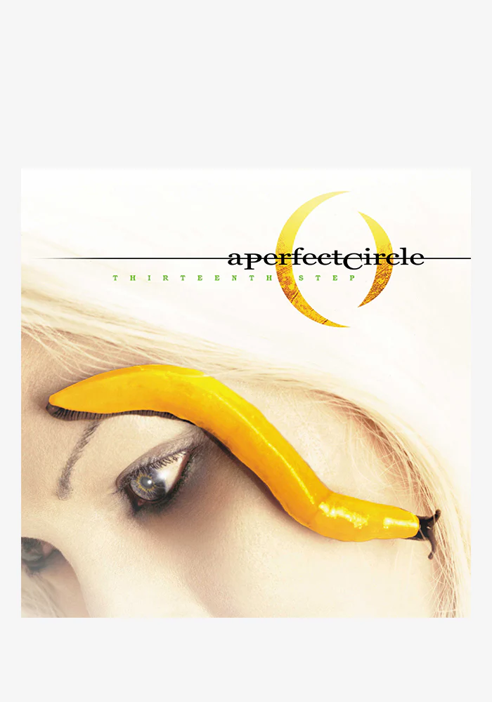 Thirteenth Step 2LP