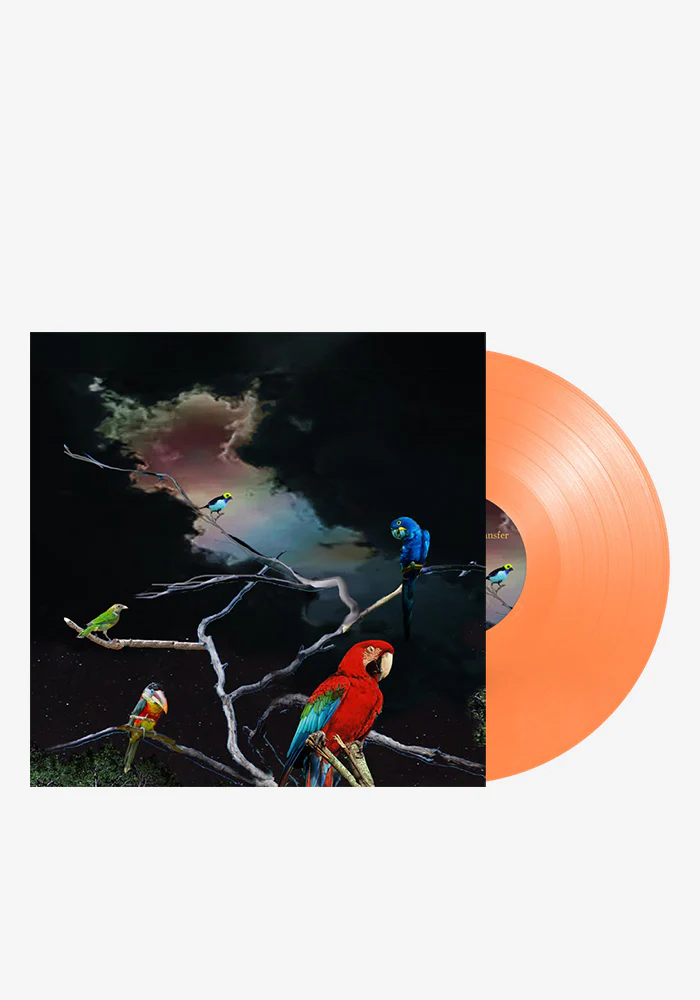 Alex G: Live From Union Transfer LP (Color) - Image 2