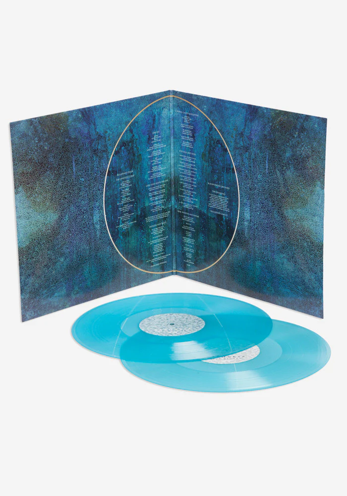 Blue Record Exclusive 2 LP - Image 4