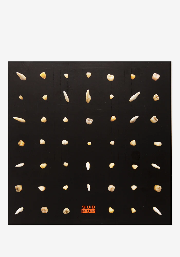 Visions Of Bodies Being Burned Exclusive 2LP - Image 4