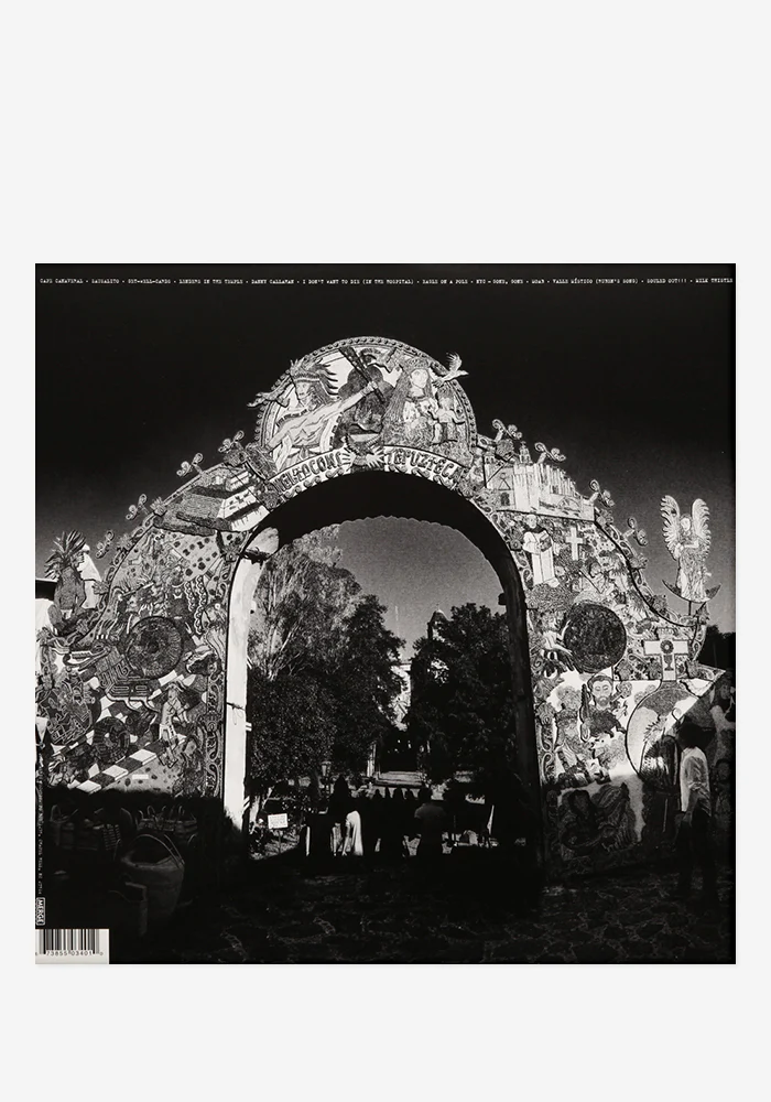 Conor Oberst Exclusive LP (Marble) - Image 4
