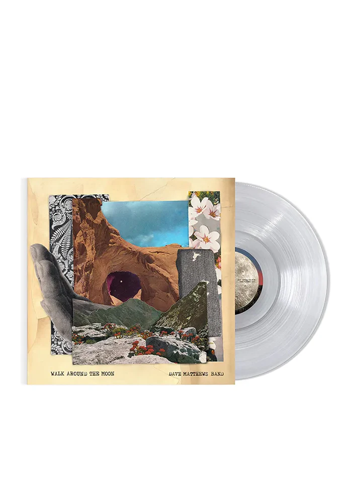 Walk Around The Moon LP (Clear) - Image 2