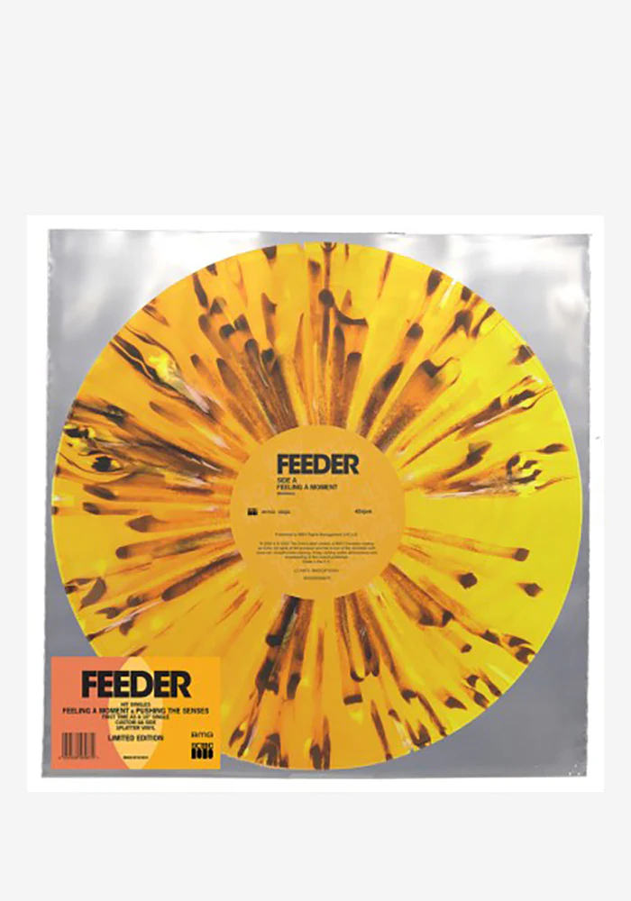 Feeling A Moment / Pushing The Senses 12" Single (Color)