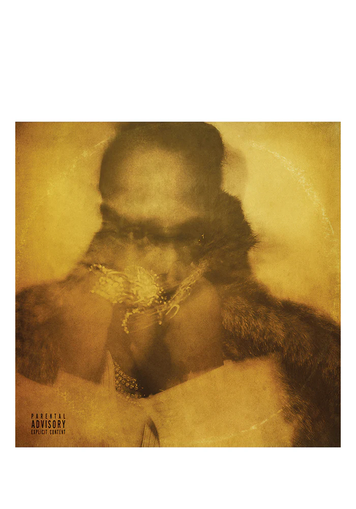 Future 2LP