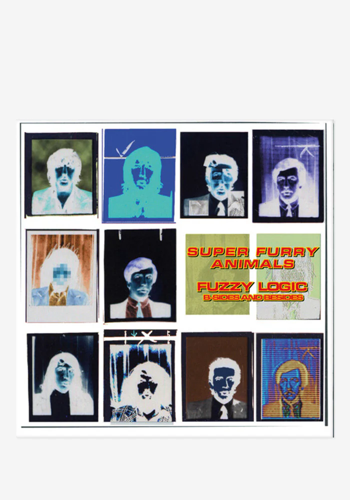 Fuzzy Logic (B-Sides & Besides) (RSD Exclusive)