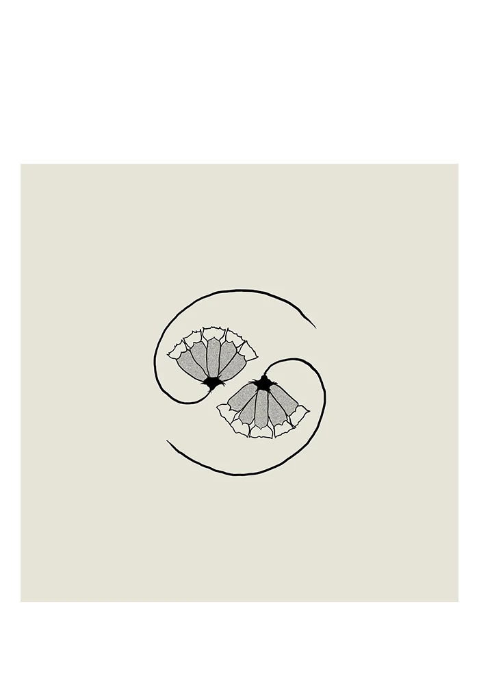 G_d's Pee AT STATE'S END! LP+10"