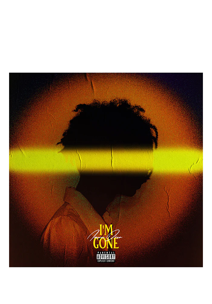Nothing's Ever Good Enough / I'm Gone LP - Image 2