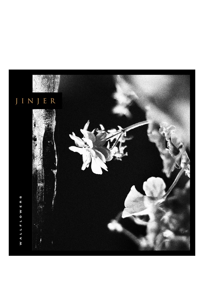Wallflowers CD With Autographed Postcard