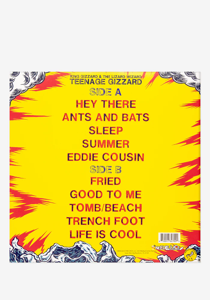 Teenage Gizzard Exclusive LP - Image 3