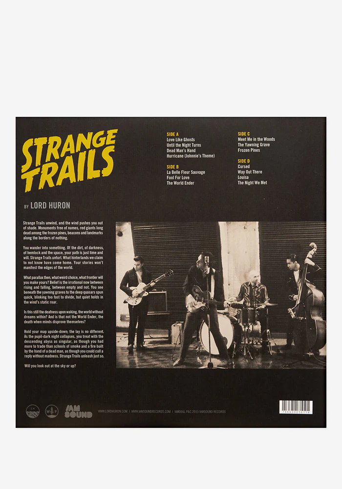 Strange Trails Exclusive 2LP (All Day) - Image 4