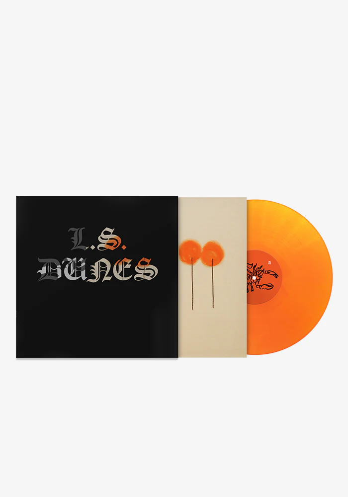 Past Lives LP (Color) - Image 2