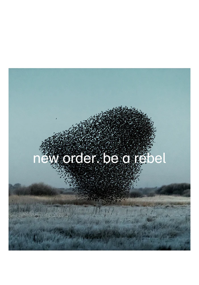 Be A Rebel 12" Single (Color)
