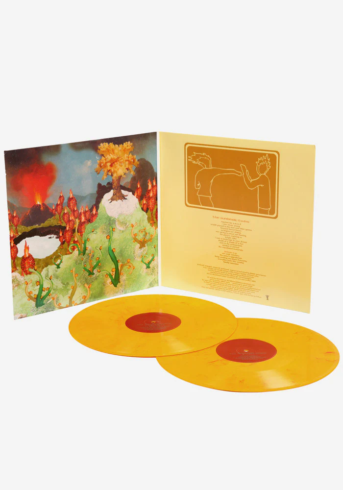 Sunlandic Twins Exclusive 2 LP - Image 4