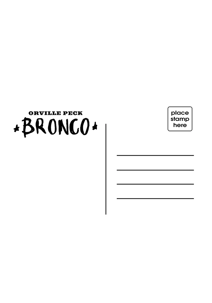 Bronco 2LP - Image 3