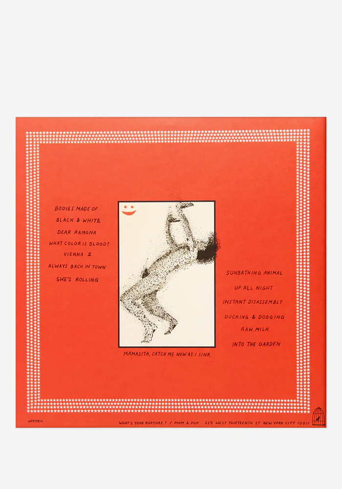 Sunbathing Animal Exclusive LP - Image 3