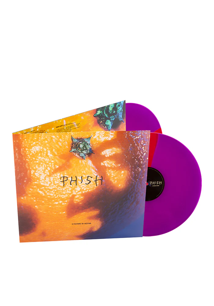 A Picture Of Nectar 2LP (Color) - Image 2