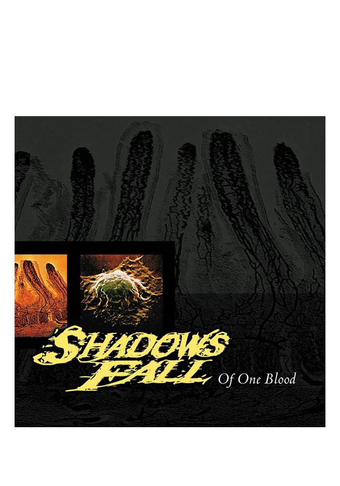 Of One Blood 20th Anniversary LP (Color)