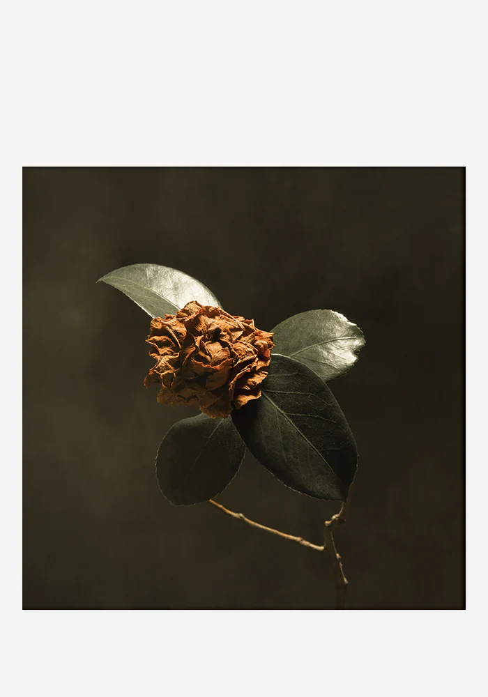 Young Sick Camellia CD With Autographed Digipak