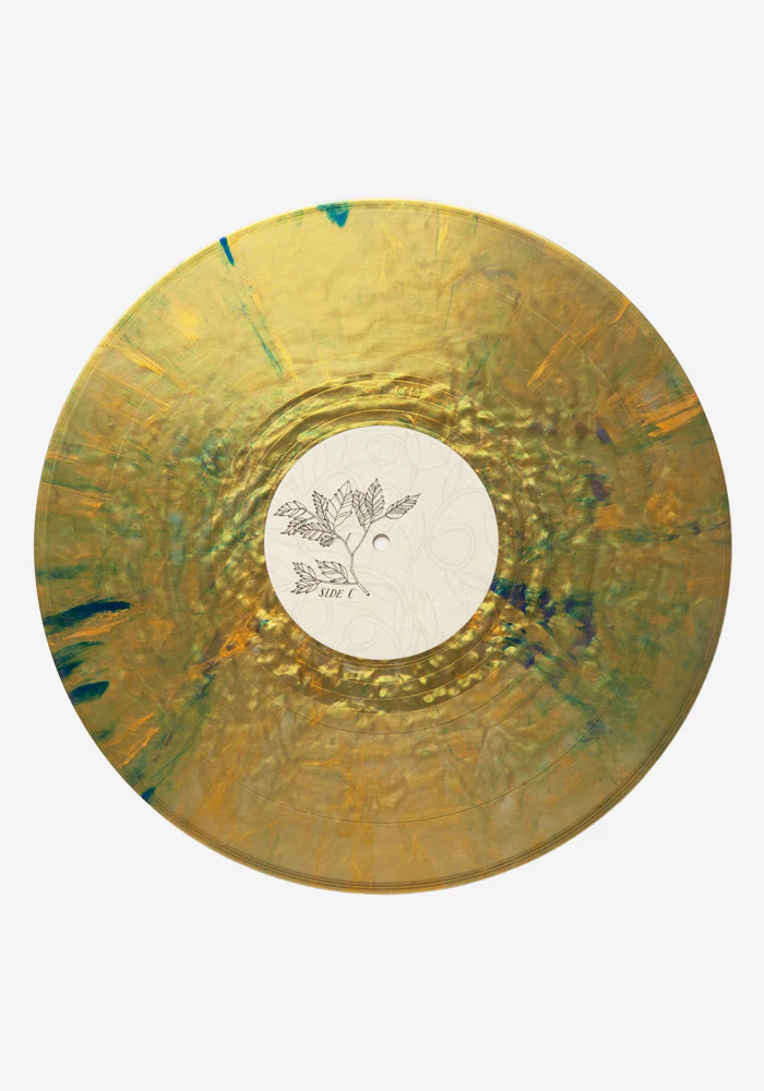 Picaresque Exclusive 2LP - Image 2