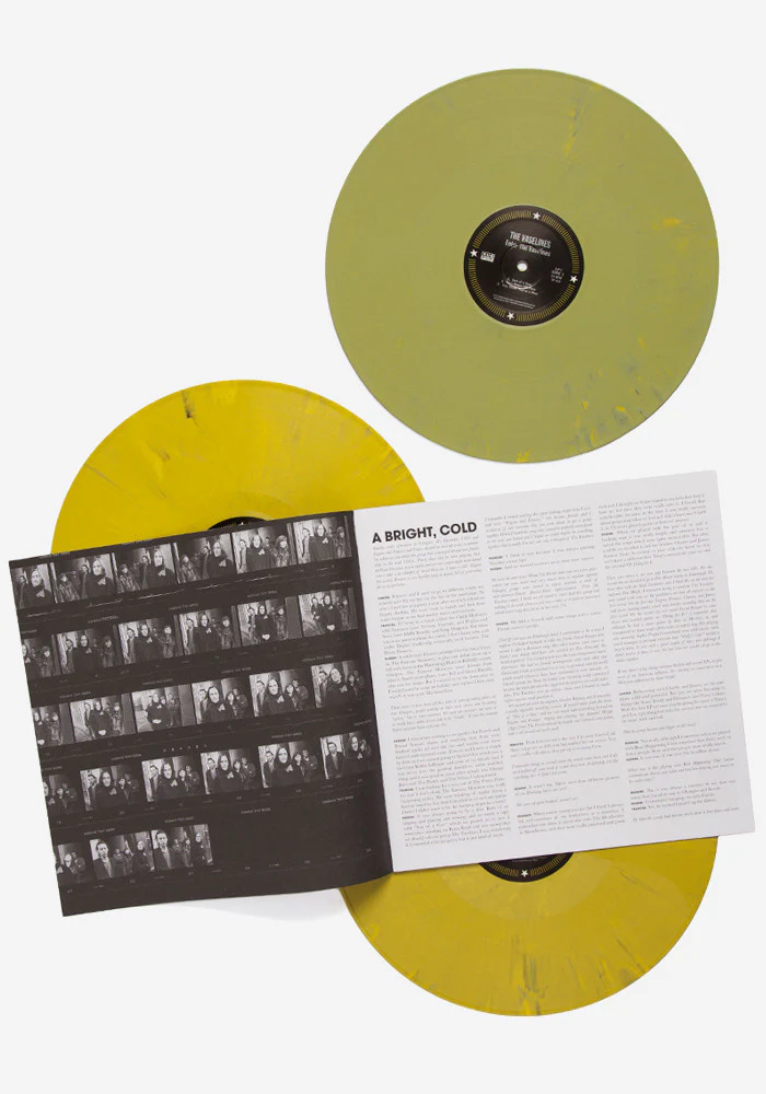 Enter The Vaselines Exclusive LP - Image 5