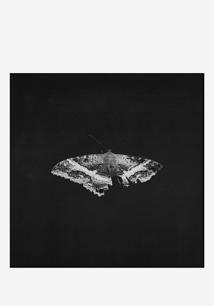 To Pimp A Butterfly 2LP (10 Year Anniversary Edition)