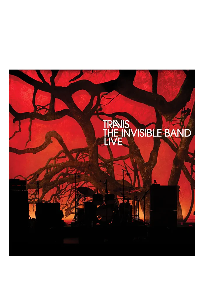 The Invisible Band: Live 2LP (Color)